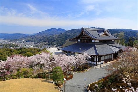 楚青龍殿|将軍塚青龍殿 京都の絶景と枯山水を楽しむ 